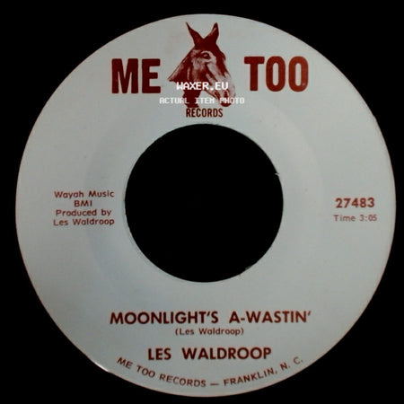 Les Waldroop - Moonlight's A-Wastin' / Watergate Bugs side A