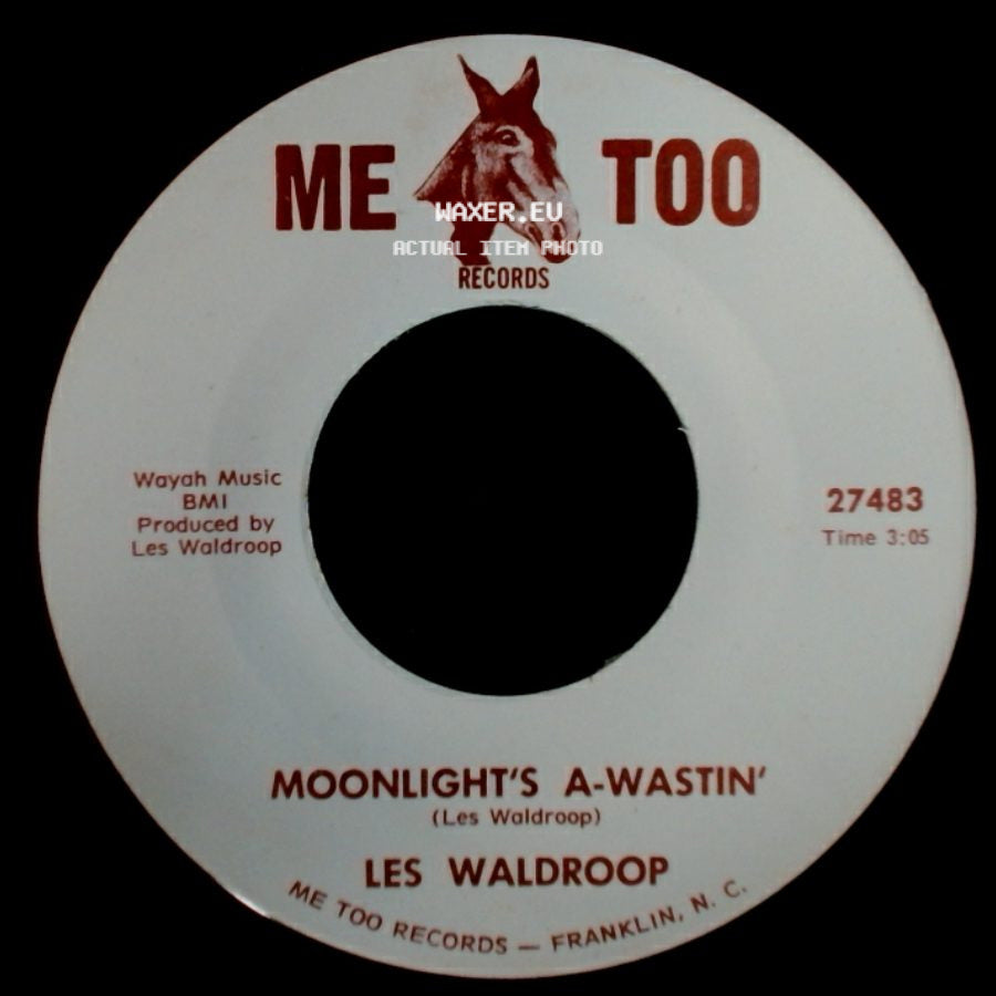 Les Waldroop - Moonlight's A-Wastin' / Watergate Bugs side A