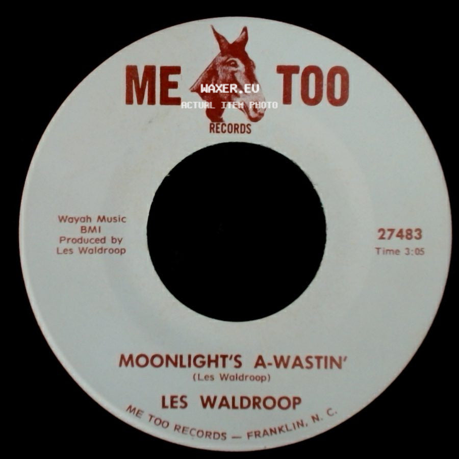 Les Waldroop - Moonlight's A-Wastin' / Watergate Bugs side A
