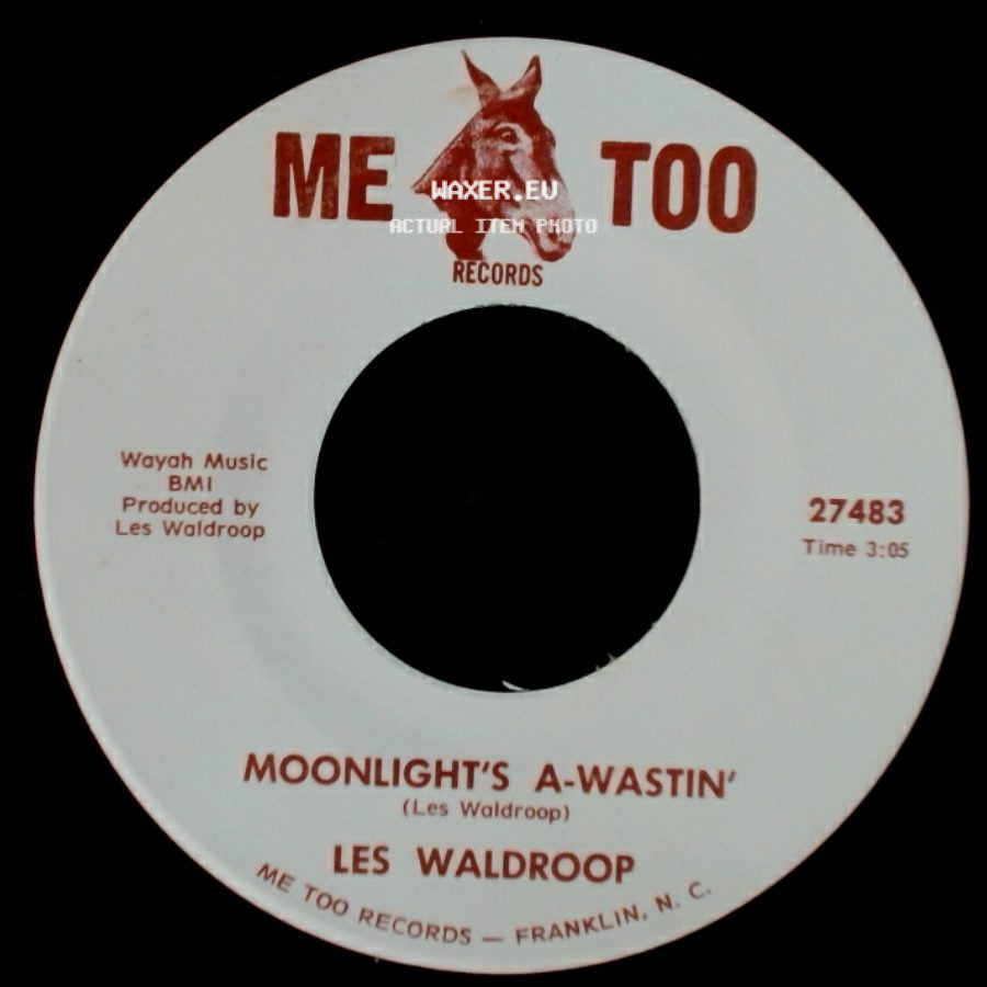 Les Waldroop - Watergate Bugs / Moonlight's A-Wastin' side B