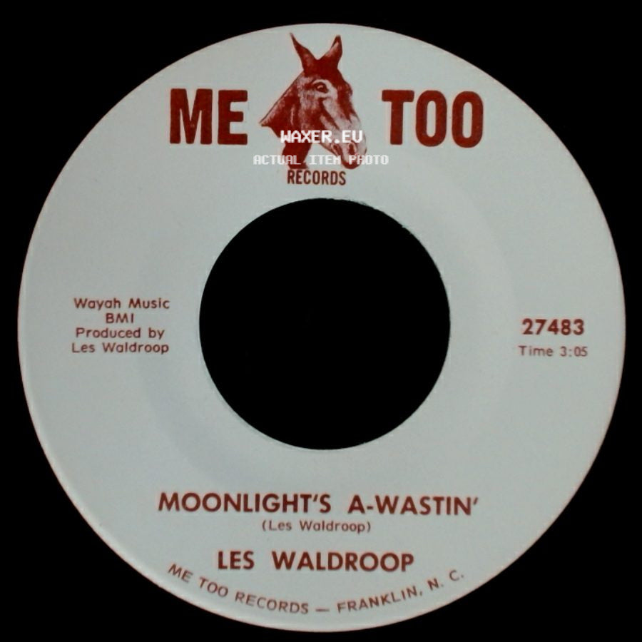 Les Waldroop - Moonlight's A-Wastin' / Watergate Bugs side A