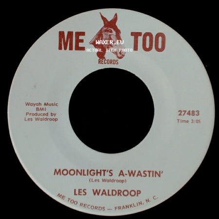 Les Waldroop - Watergate Bugs / Moonlight's A-Wastin' side B