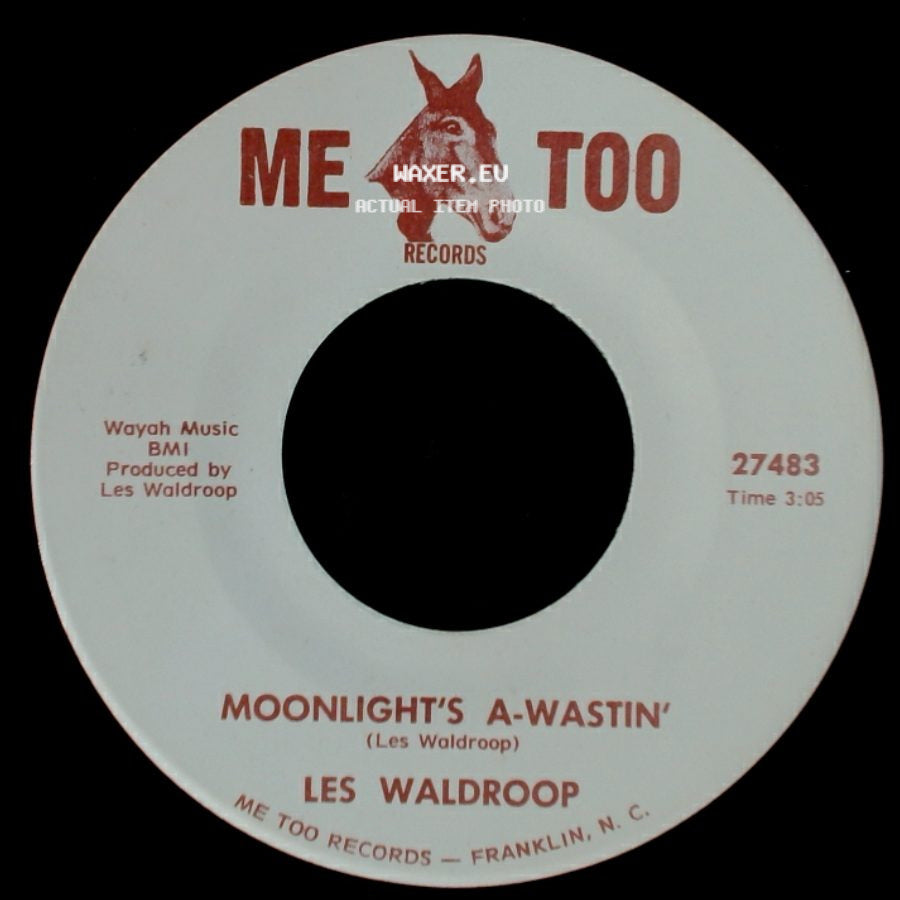 Les Waldroop - Watergate Bugs / Moonlight's A-Wastin' side B