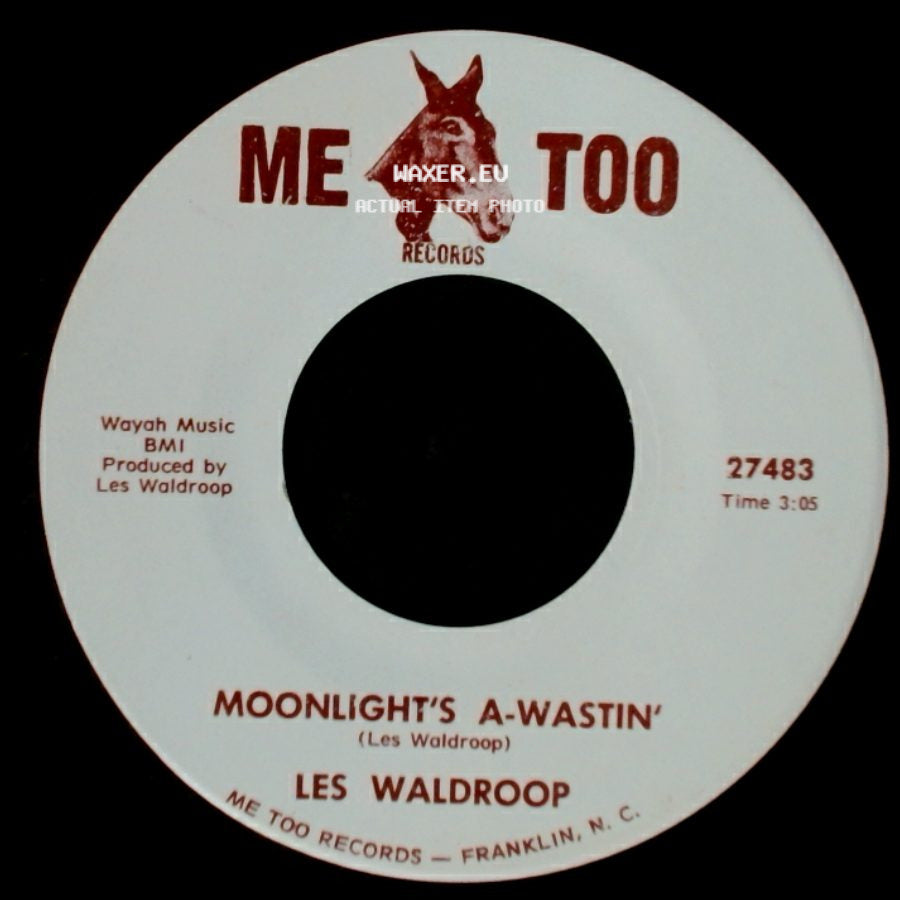 Les Waldroop - Moonlight's A-Wastin' / Watergate Bugs side A