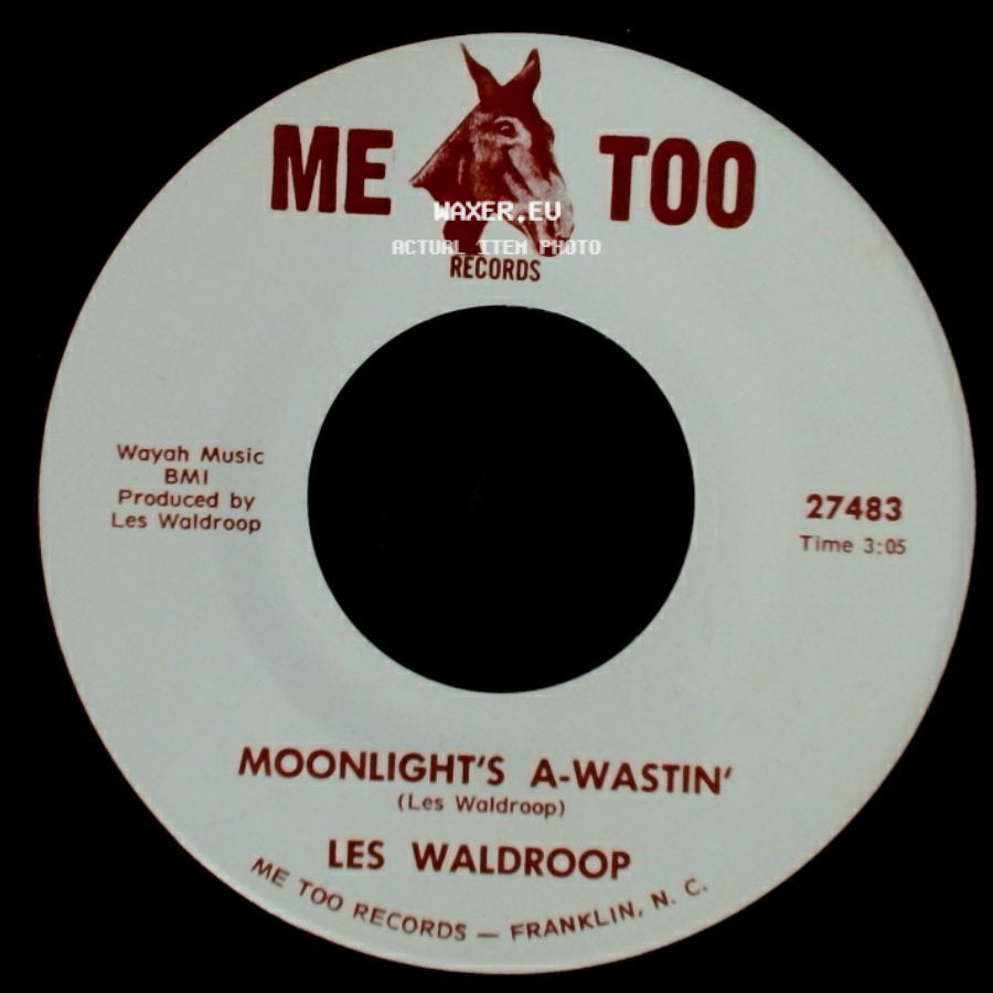 Les Waldroop - Watergate Bugs / Moonlight's A-Wastin' side B