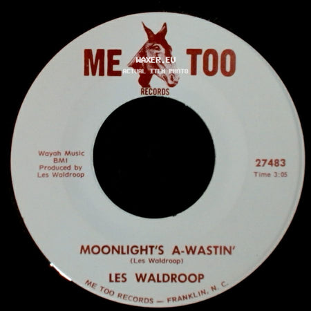 Les Waldroop - Moonlight's A-Wastin' / Watergate Bugs side A