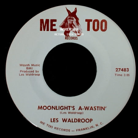 Les Waldroop - Watergate Bugs / Moonlight's A-Wastin' side B