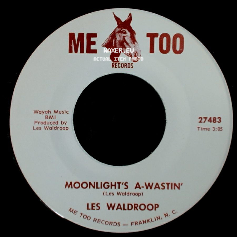 Les Waldroop - Watergate Bugs / Moonlight's A-Wastin' side B