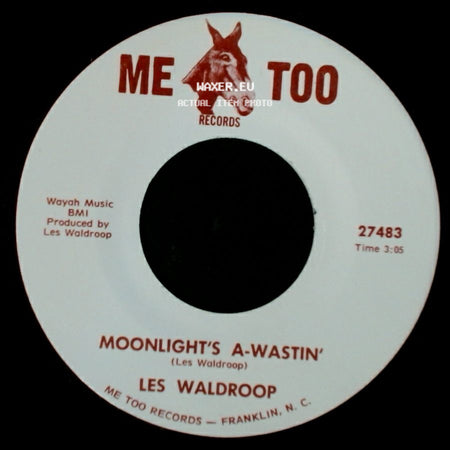 Les Waldroop - Watergate Bugs / Moonlight's A-Wastin' side B