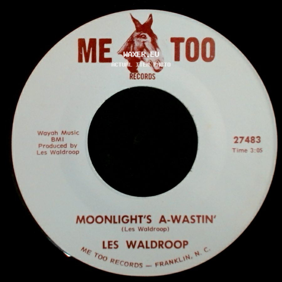 Les Waldroop - Moonlight's A-Wastin' / Watergate Bugs side A