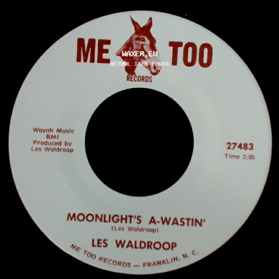 Les Waldroop - Moonlight's A-Wastin' / Watergate Bugs side A