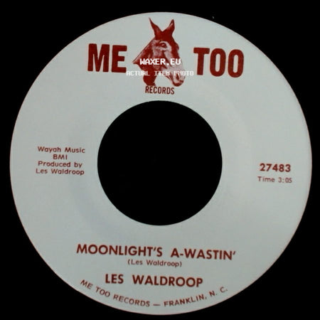 Les Waldroop - Moonlight's A-Wastin' / Watergate Bugs side A