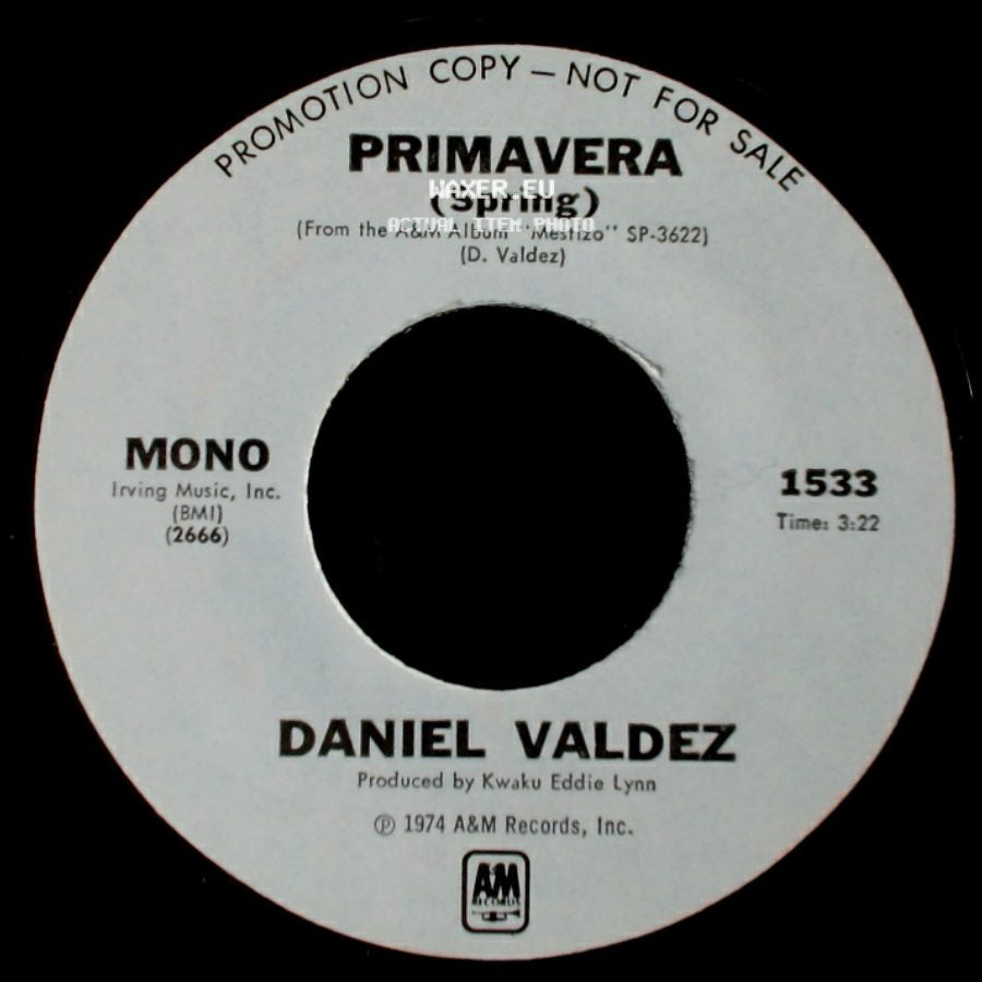 Daniel Valdez - Primavera (Spring) / Primavera (Spring) side B