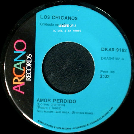 Los Chicanos - Amor Perdido / Tu Eres Mi Destino side A