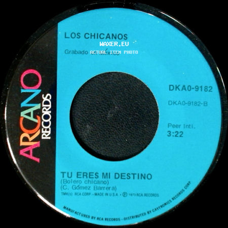 Los Chicanos - Amor Perdido / Tu Eres Mi Destino side B