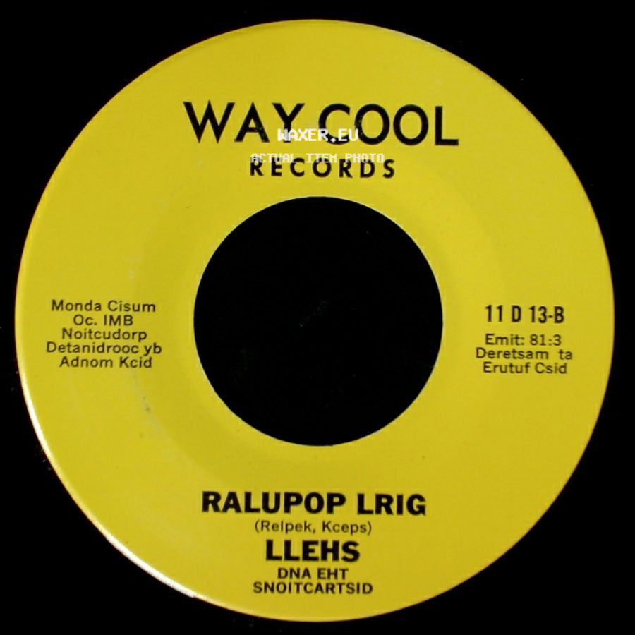 Shell And The Distractions / Llehs - Popular Girl / Ralupop Lrig side B