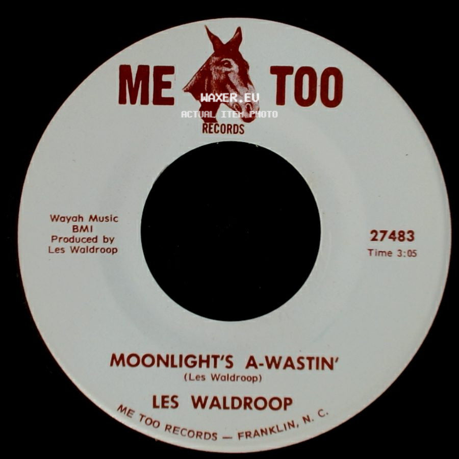 Les Waldroop - Watergate Bugs / Moonlight's A-Wastin' side B