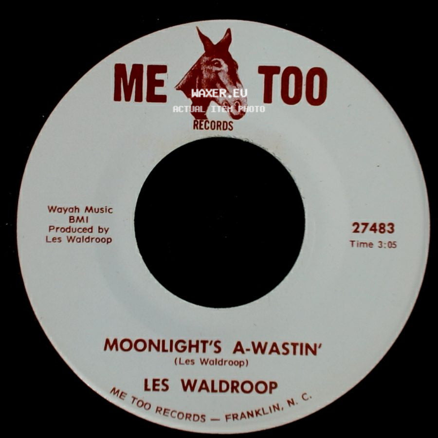 Les Waldroop - Moonlight's A-Wastin' / Watergate Bugs side A