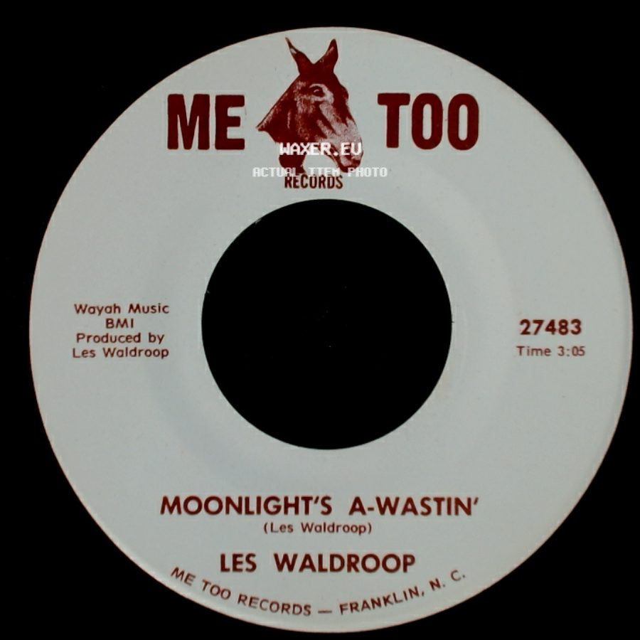 Les Waldroop - Watergate Bugs / Moonlight's A-Wastin' side B