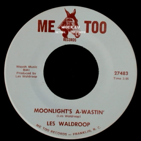 Les Waldroop - Watergate Bugs / Moonlight's A-Wastin' side B