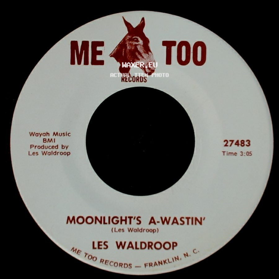 Les Waldroop - Watergate Bugs / Moonlight's A-Wastin' side B