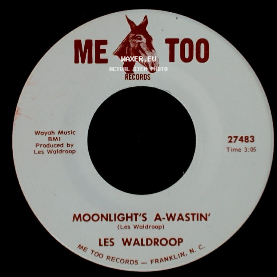 Les Waldroop - Watergate Bugs / Moonlight's A-Wastin' side B
