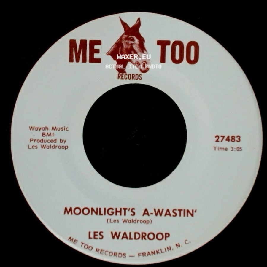 Les Waldroop - Watergate Bugs / Moonlight's A-Wastin' side B