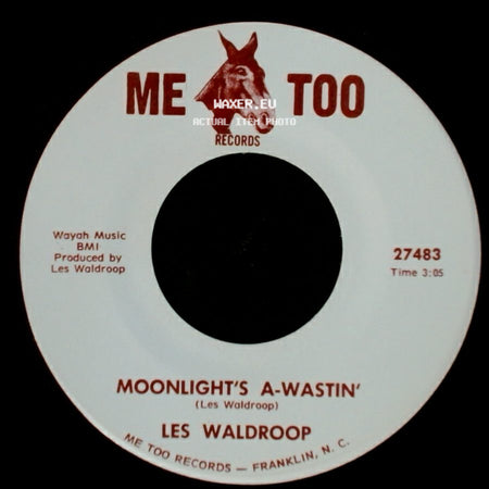 Les Waldroop - Watergate Bugs / Moonlight's A-Wastin' side B