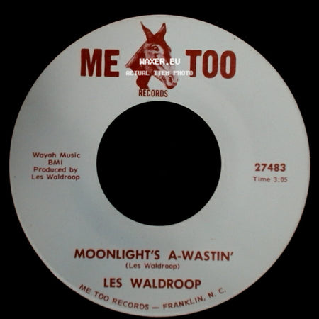 Les Waldroop - Moonlight's A-Wastin' / Watergate Bugs side A