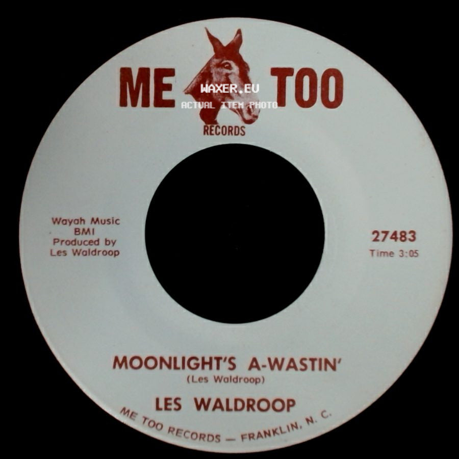 Les Waldroop - Moonlight's A-Wastin' / Watergate Bugs side A