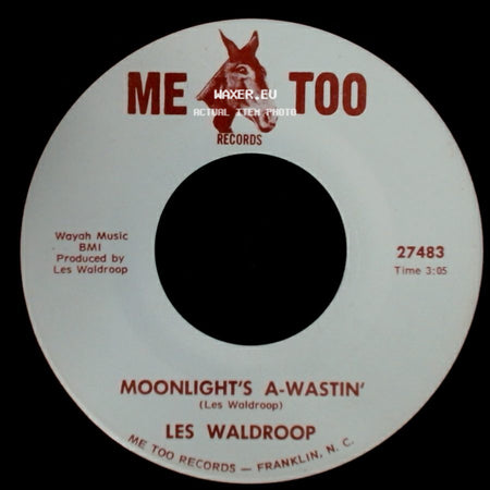 Les Waldroop - Moonlight's A-Wastin' / Watergate Bugs side A
