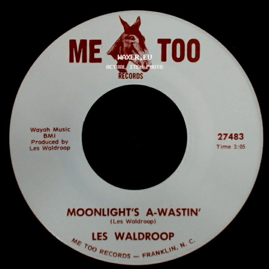 Les Waldroop - Moonlight's A-Wastin' / Watergate Bugs side A