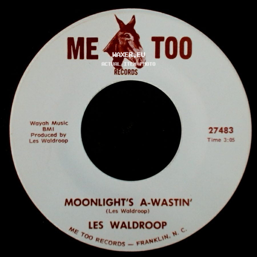 Les Waldroop - Watergate Bugs / Moonlight's A-Wastin' side B