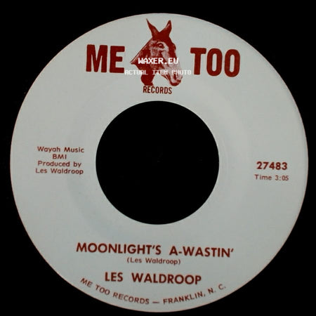 Les Waldroop - Watergate Bugs / Moonlight's A-Wastin' side B