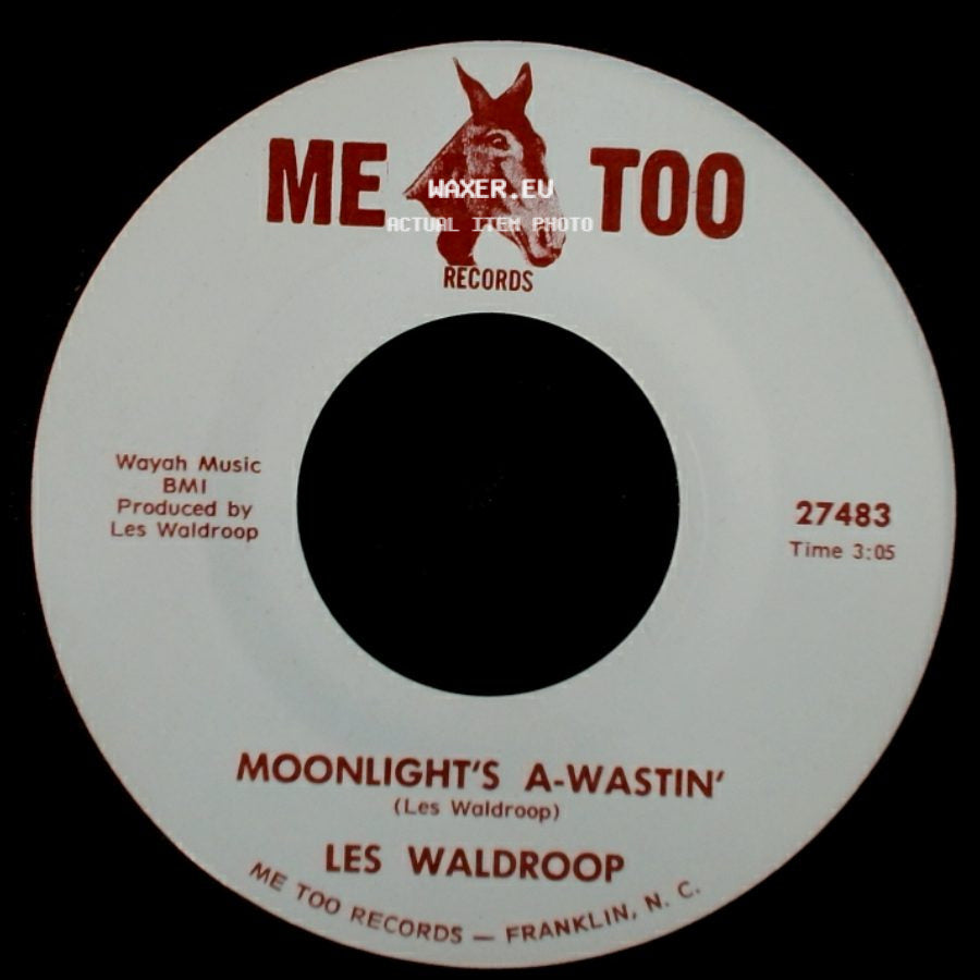 Les Waldroop - Watergate Bugs / Moonlight's A-Wastin' side B