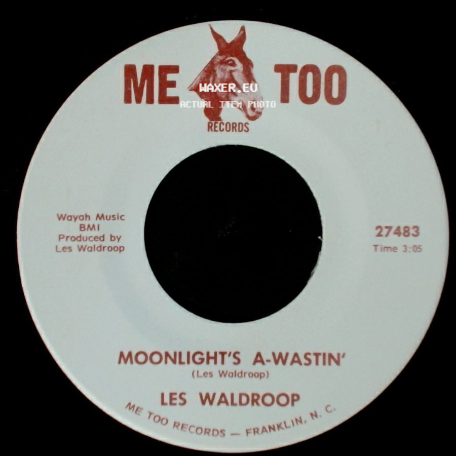 Les Waldroop - Watergate Bugs / Moonlight's A-Wastin' side B