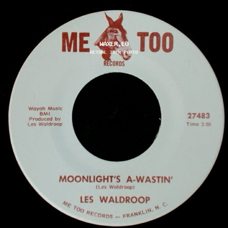 Les Waldroop - Watergate Bugs / Moonlight's A-Wastin' side B