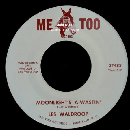 Les Waldroop - Moonlight's A-Wastin' / Watergate Bugs side A
