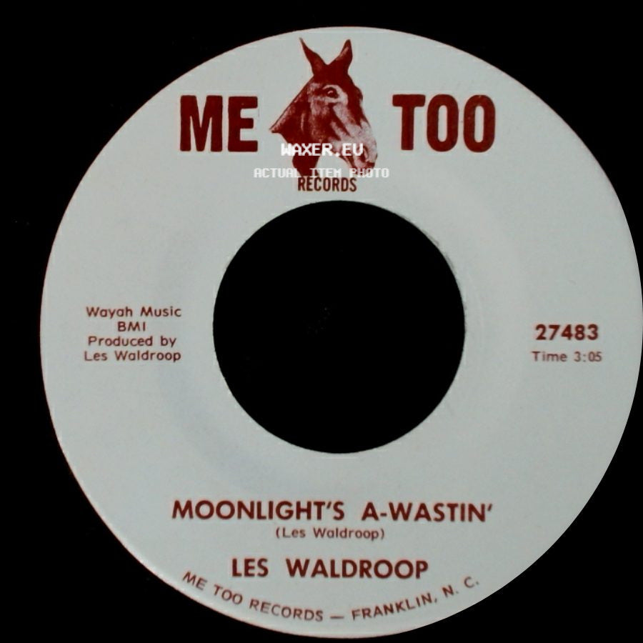 Les Waldroop - Moonlight's A-Wastin' / Watergate Bugs side A