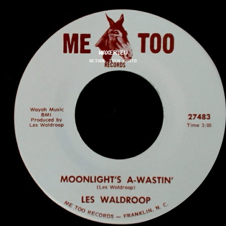 Les Waldroop - Moonlight's A-Wastin' / Watergate Bugs side A