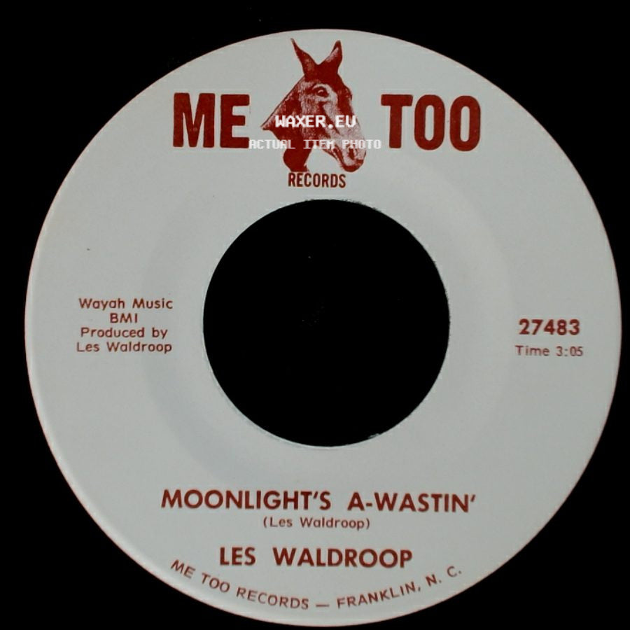 Les Waldroop - Watergate Bugs / Moonlight's A-Wastin' side B