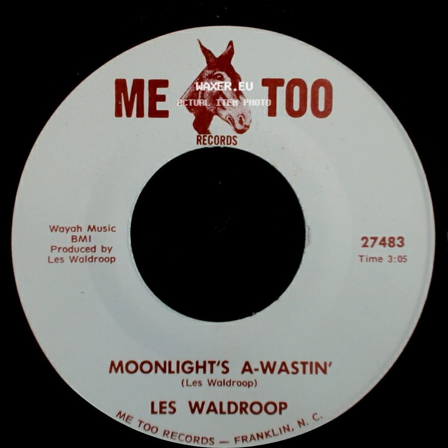 Les Waldroop - Watergate Bugs / Moonlight's A-Wastin' side B