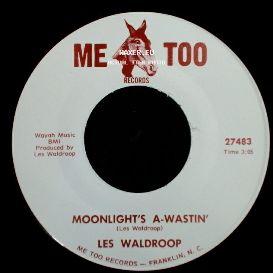 Les Waldroop - Moonlight's A-Wastin' / Watergate Bugs side A
