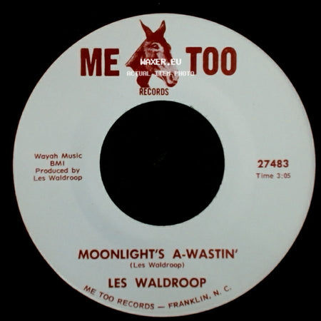 Les Waldroop - Watergate Bugs / Moonlight's A-Wastin' side B