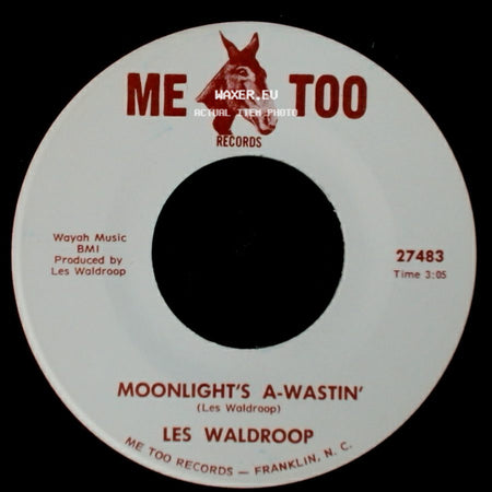 Les Waldroop - Watergate Bugs / Moonlight's A-Wastin' side B