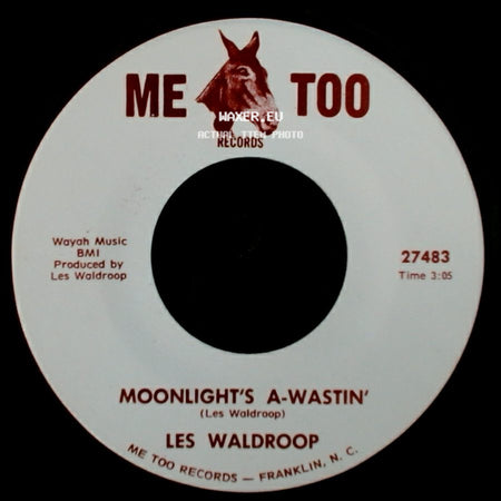 Les Waldroop - Moonlight's A-Wastin' / Watergate Bugs side A