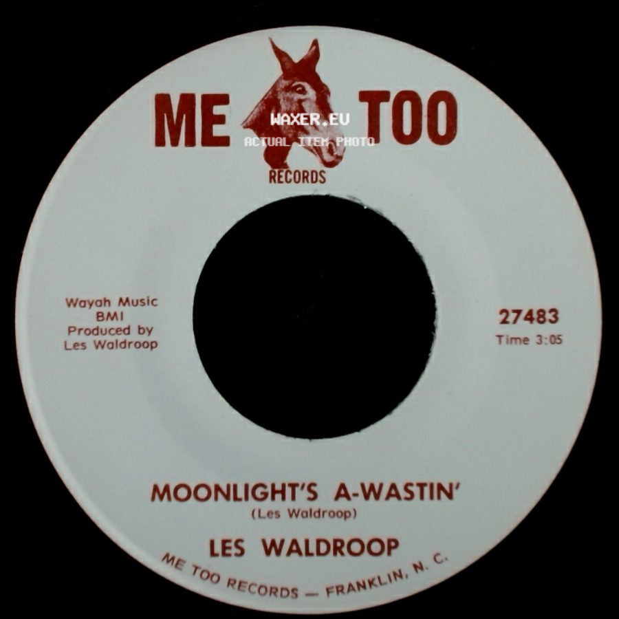 Les Waldroop - Watergate Bugs / Moonlight's A-Wastin' side B