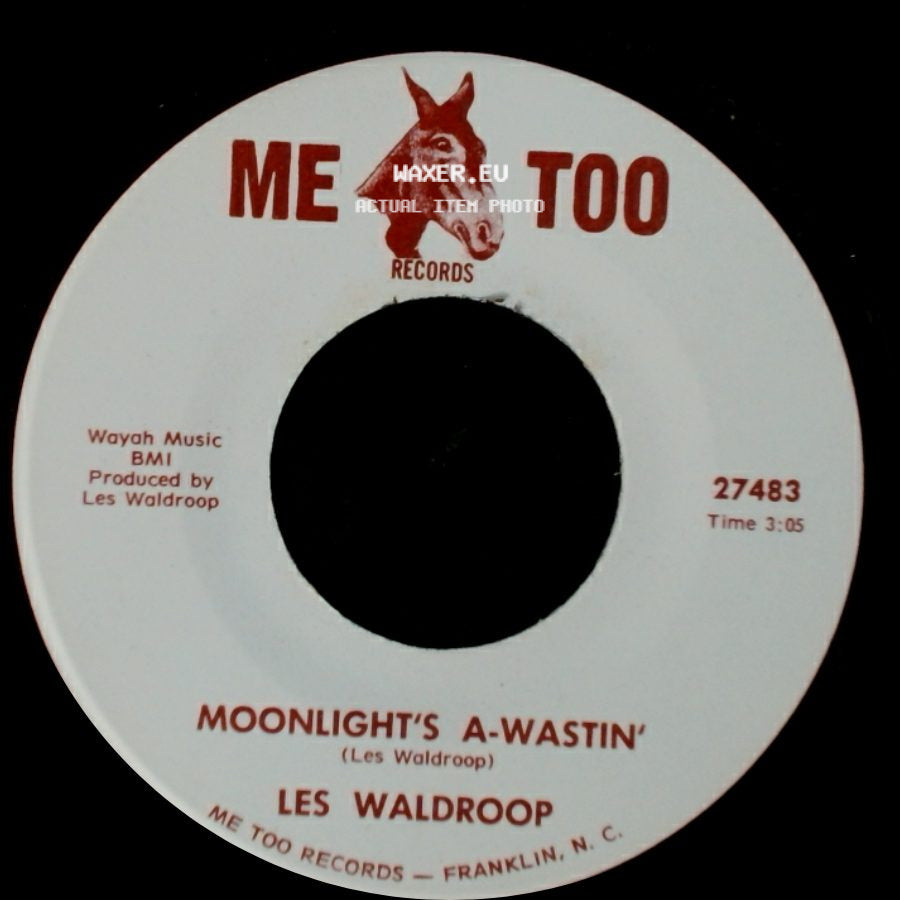 Les Waldroop - Watergate Bugs / Moonlight's A-Wastin' side B