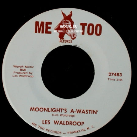 Les Waldroop - Watergate Bugs / Moonlight's A-Wastin' side B