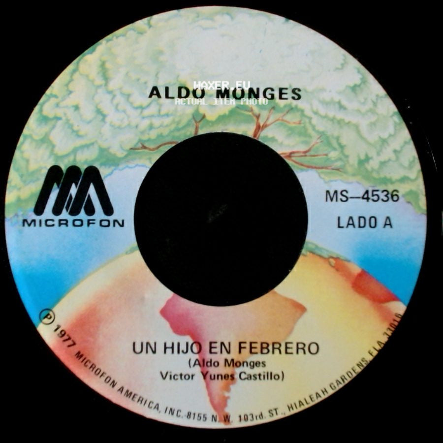Aldo Monges - Un Hijo En Febrero / No Te Habia Conocido side A